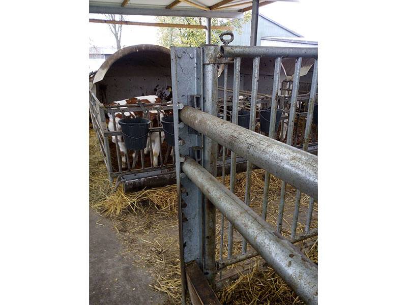 stummes-nackenrohr-12_original