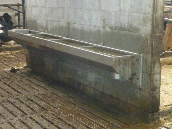 Tränken für Pferde - Rinder - Schafe - Ziegen