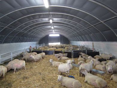 Shelterall Rundbogenhalle für Schafe