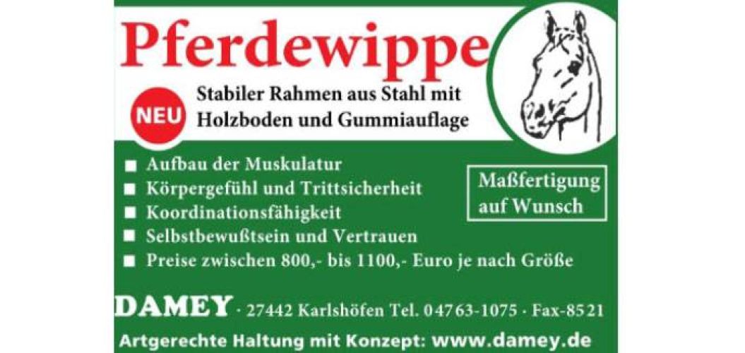 Pferdewippe by Damey