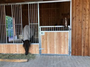 Ponyfront mit Drehtür